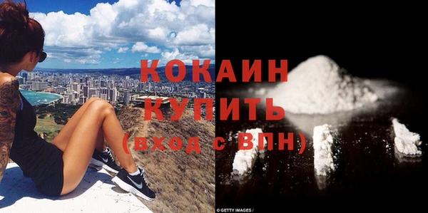 прущие грибы Ладушкин